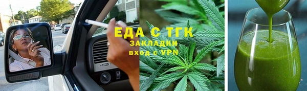 индика Снежногорск