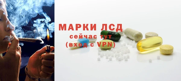 прущие грибы Баксан