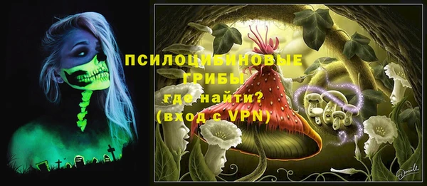не бодяженный Арсеньев