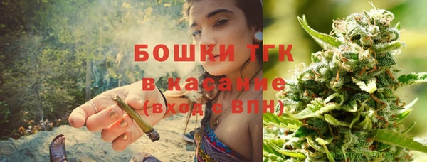 прущие грибы Баксан